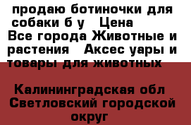 продаю ботиночки для собаки б/у › Цена ­ 600 - Все города Животные и растения » Аксесcуары и товары для животных   . Калининградская обл.,Светловский городской округ 